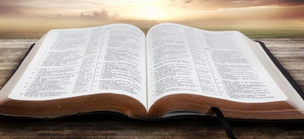 biblia sagrada